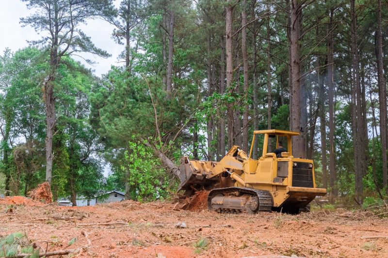 Building Site Clearing in Atlanta, GA