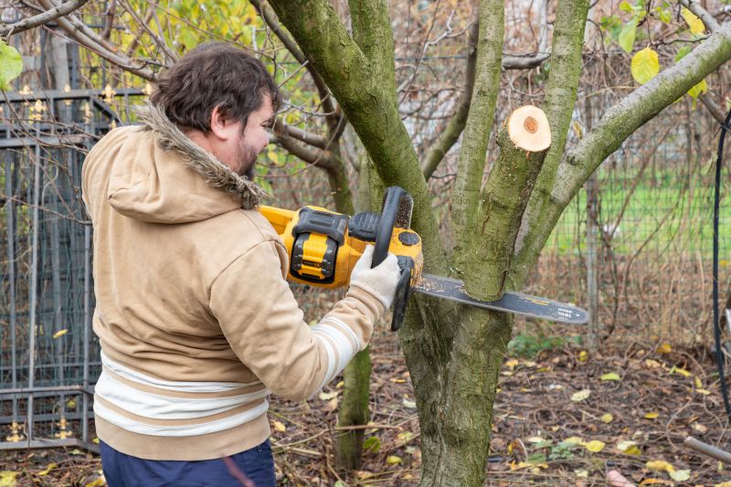 Contact About Tree Felling