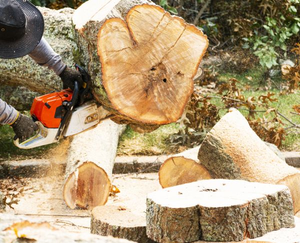 Grow your Tree Felling business