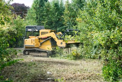Easement Land Clearing in Cumming, GA