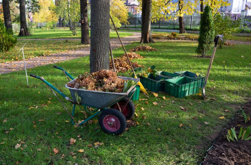 Ground Clearing in Gwinnett County, GA