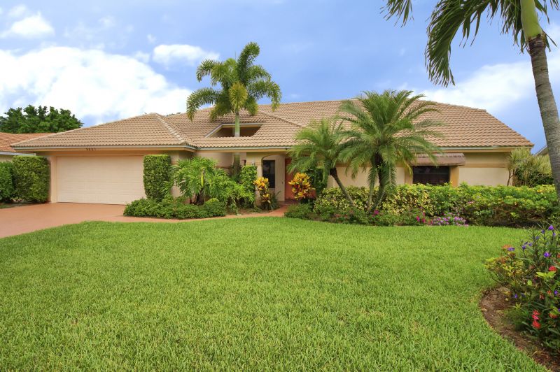 Palm Tree Removal in Montgomery County, PA